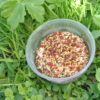 Saveur Pempa