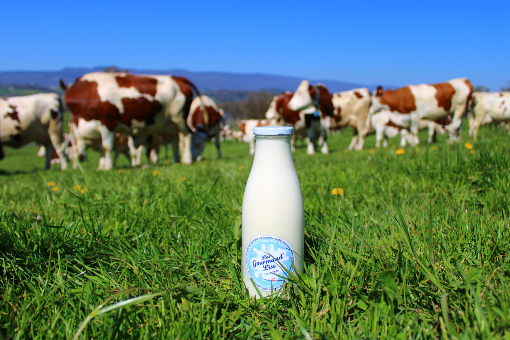 Lait cru entier Les Gourmand