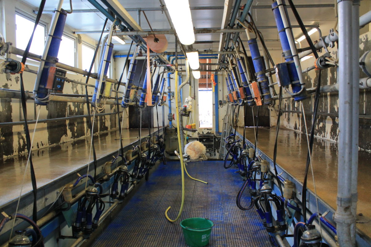 Lait cru entier Les Gourmand